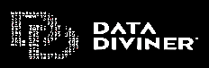 Data Diviner
